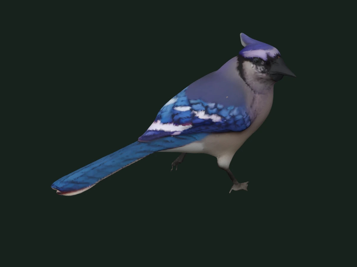 Blue Jay — assembled model — digital model preview