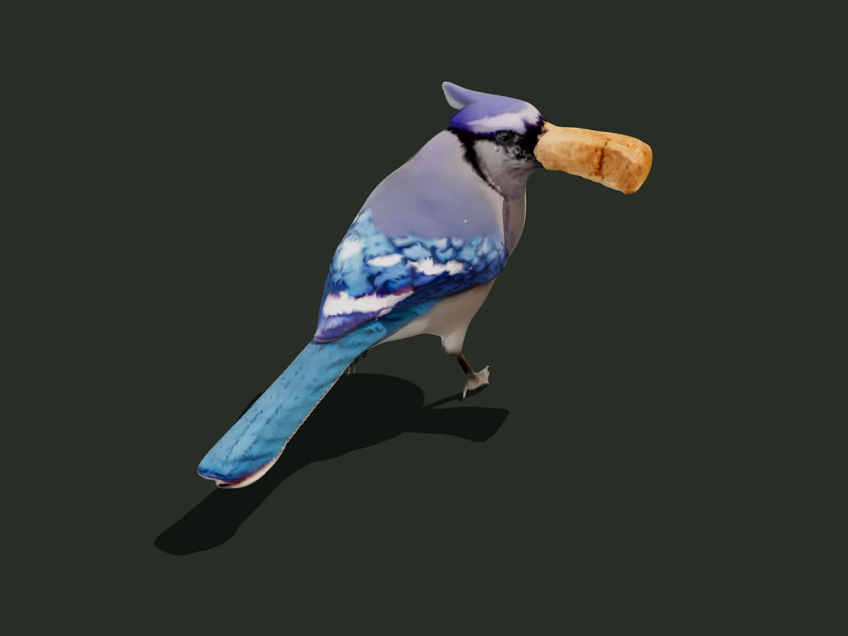 Blue Jay — assembled model — digital model preview