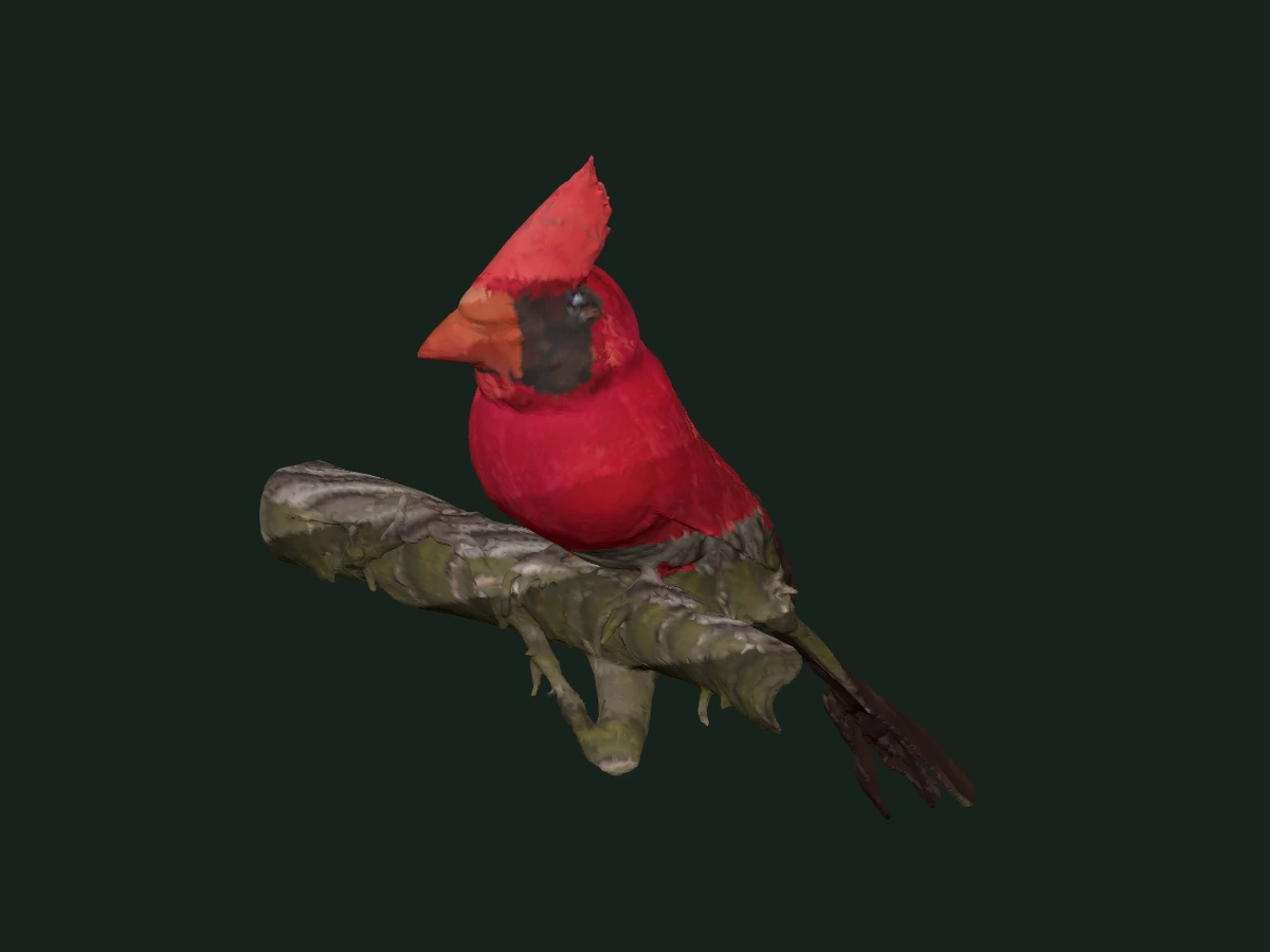 Northern Cardinal — assembled model — digital model preview
