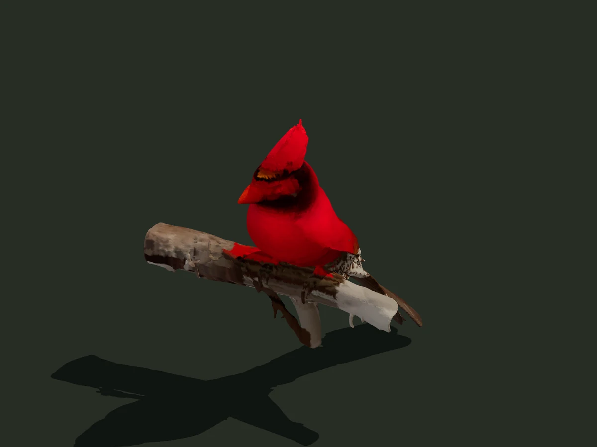 Northern Cardinal — assembled model — digital model preview