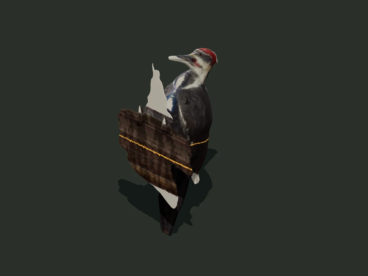 Pileated Woodpecker — assembled model — digital model preview
