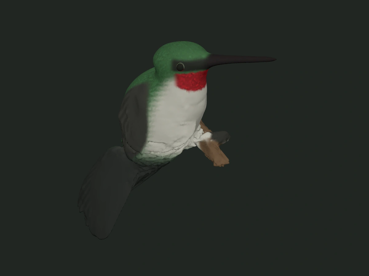 Ruby-throated Hummingbird — assembled model — digital model preview